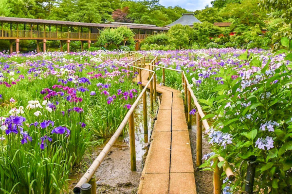 本土寺