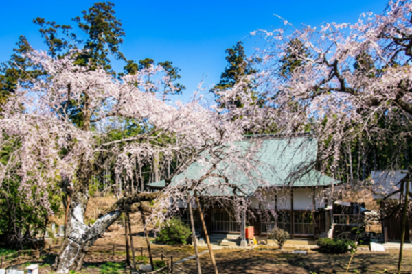 福星寺