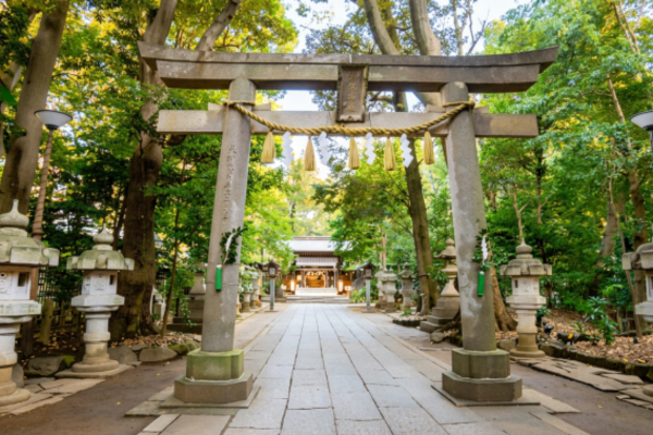 駒木諏訪神社