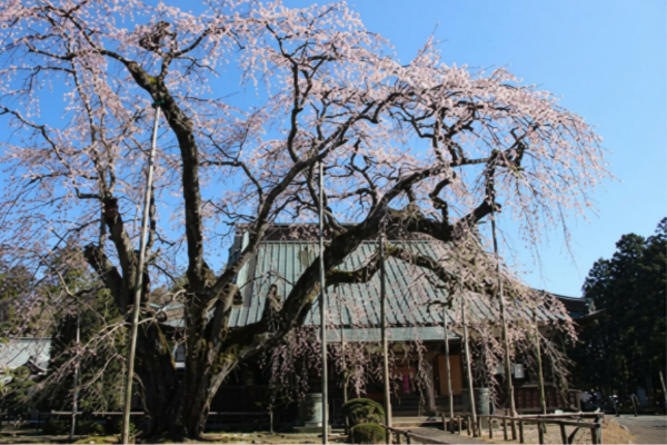 長光寺