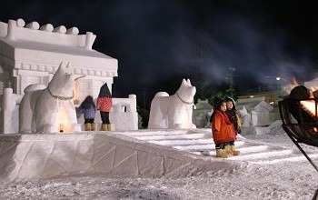 犬っこまつり「どんど焼き」|湯沢市