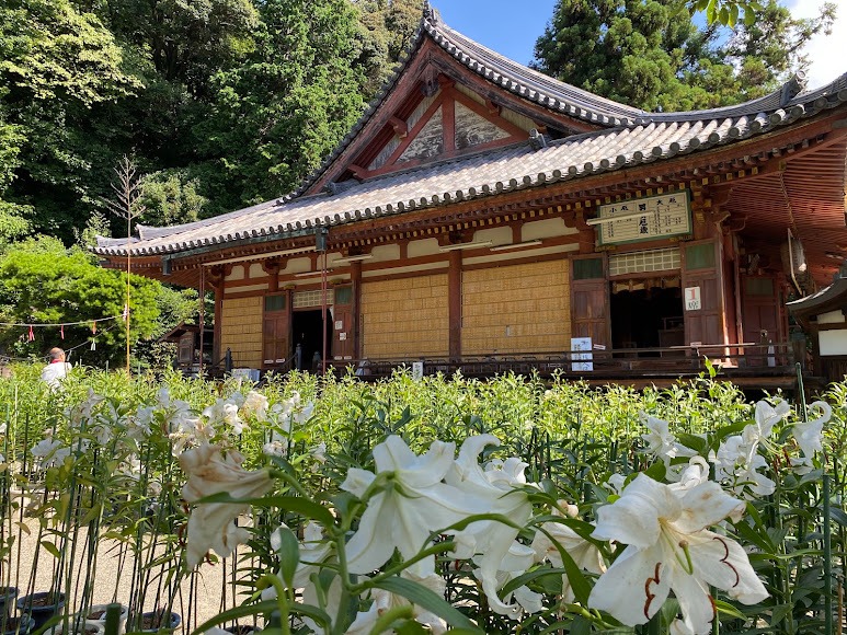 大和 松尾寺|大和郡山市